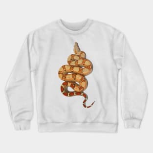 Boa constrictor Crewneck Sweatshirt